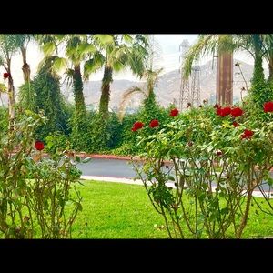 Meet your Posher, Darcy